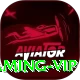 Baazplay Gaming VIP